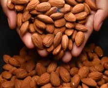Health Benefits of Almonds