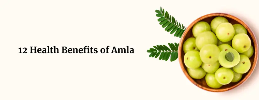 Benefits of Amla