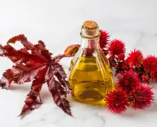 Benefits of Castor Oil