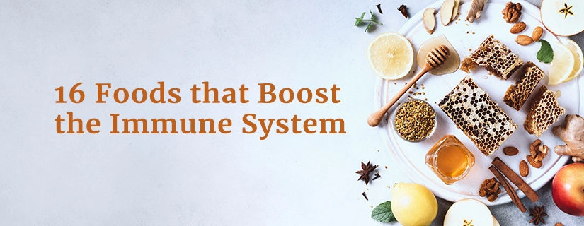 Foods that Boost the Immune System