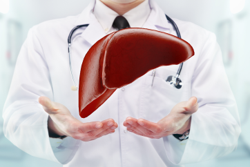 Liver Wellness Check Up Package in Outpatient Centre, Banjara Hills