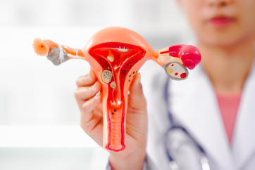 Fibroid & Uterine Health Screening Package in Banjara Hills