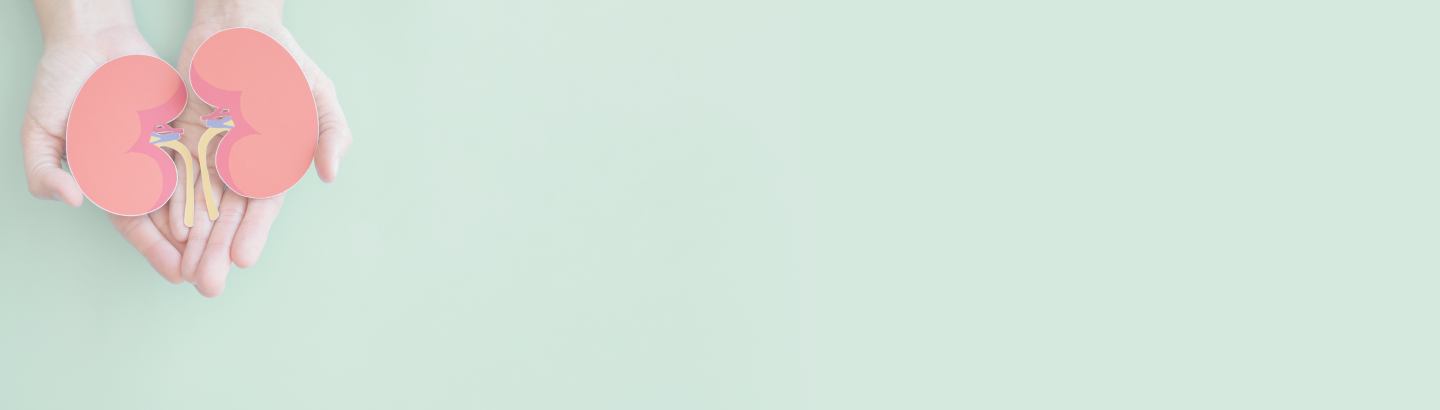 Basic Kidney Stone Health Check-up Package in Banjara Hills