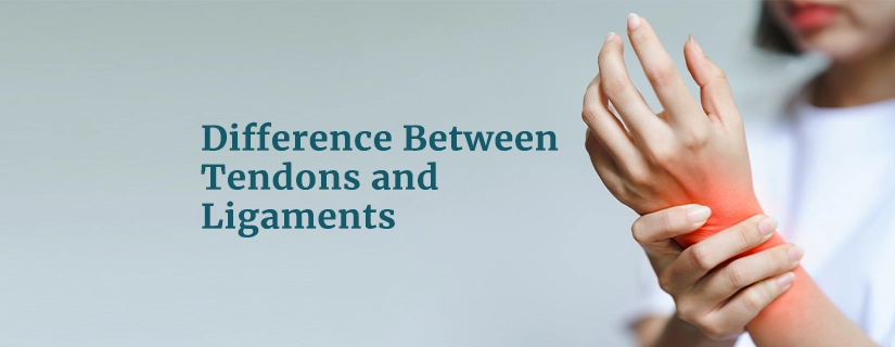 Difference Between Tendons and Ligaments	