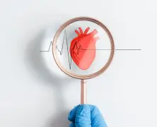 Difference Between Heart Rate And Pulse Rate
