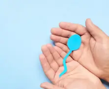 How to Increase Sperm Count 