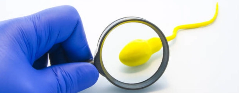 Male Infertility - Causes and Treatment Options