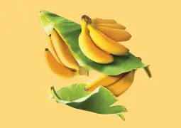 Why Avoid Bananas During Pregnancy?