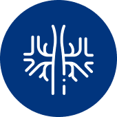 Best Vascular Hospital in Hyderabad