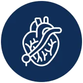 Arthroscopic Joint Surgery