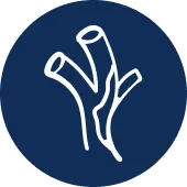 Carotid Angioplasty Surgery