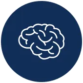 Cerebral Digital Subtraction Angiography (DSA)
