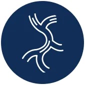 Coronary Artery Bypass Grafting (CABG)