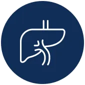 Endoscopic Retrograde Cholangiopancreatography (ERCP)