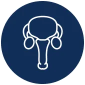 Meatotomy Surgery
