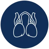 Orchiectomy Surgery