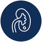 Pyelolithotomy Surgery