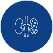 Renal Angioplasty