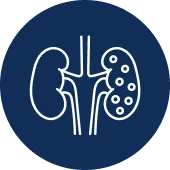 Renal Angioplasty