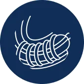 Stent Implantation Surgery
