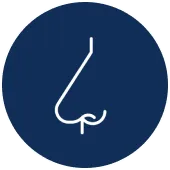Turbinate Reduction Surgery